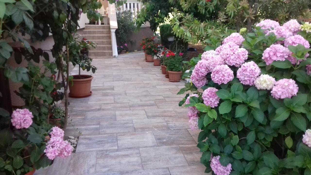 Apartments Filipovic بيوغْغاد نا موغو المظهر الخارجي الصورة