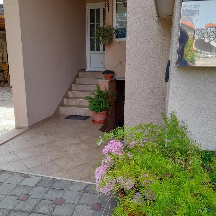 Apartments Filipovic بيوغْغاد نا موغو المظهر الخارجي الصورة