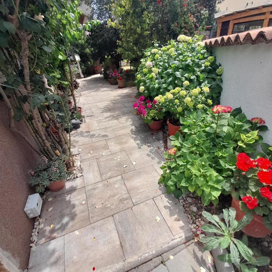 Apartments Filipovic بيوغْغاد نا موغو المظهر الخارجي الصورة