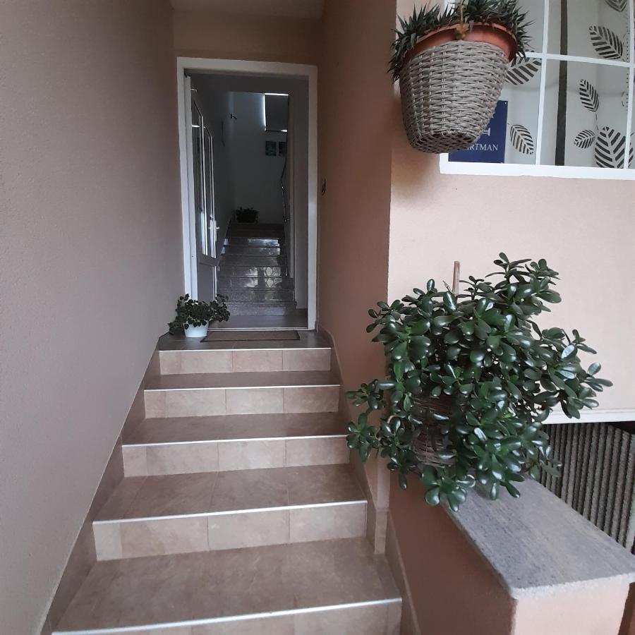 Apartments Filipovic بيوغْغاد نا موغو المظهر الخارجي الصورة